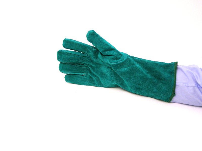 GREENLINED REVERSIBLE GAUNTLET - Image 2