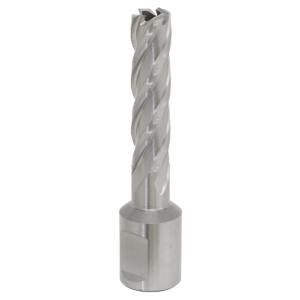 Worksafe® 12mm HSS Mag Drill Bit Cut Depth 50mm