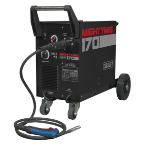 Professional Gas/Gasless MIG Welder with Euro Torch 170A
