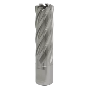 Worksafe® 19mm HSS Mag Drill Bit Cut Depth 50mm