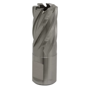 Worksafe® 19mm HSS Mag Drill Bit Cut Depth 25mm